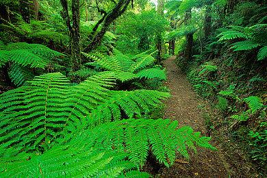 《忍者神龟：施莱德的复仇》11分钟实机演示 今夏发售