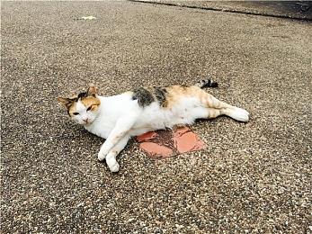 《霍格沃茨之遗》登顶谷歌2023十大搜索游戏