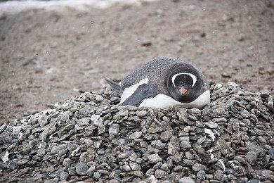 冻结27年经典游戏《发条水瓶座》重启 今冬登陆PS4＆NS