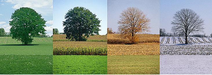 粉丝力作：“谷歌地图”版《塞尔达传说：旷野之息》地图